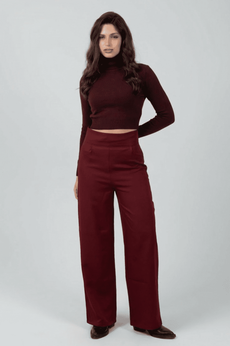 Burgandy High - Waist Classic Trousers - Hushy Wear