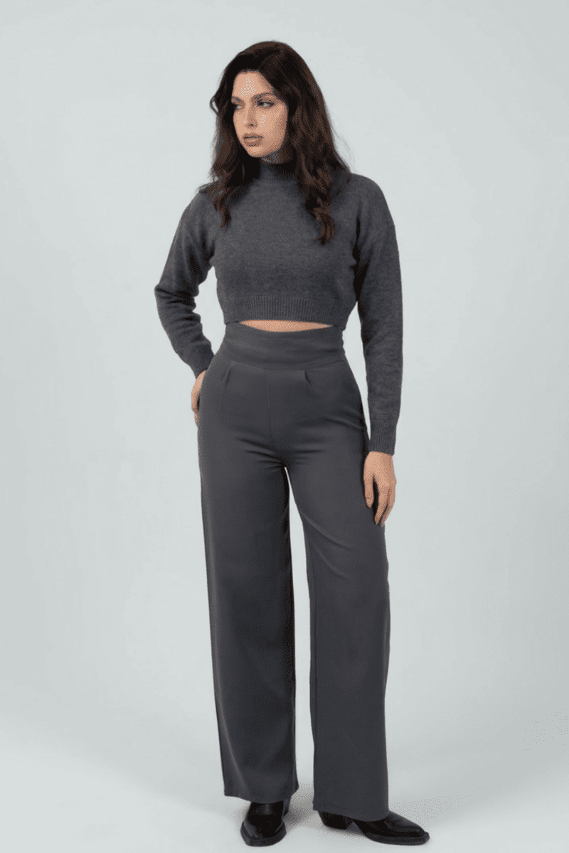 Gray High - Waist Classic Trousers - Hushy Wear